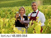 waitress and sommelier in vineyards. Стоковое фото, агентство Ingram Publishing / Фотобанк Лори