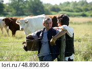 Farmer couple tending to cows. Стоковое фото, агентство Ingram Publishing / Фотобанк Лори