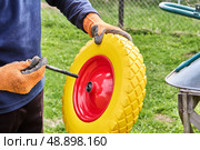 Holding replacement wheel and preparing axle for proper alignment before installation on garden wheelbarrow during outdoor maintenance task. Стоковое фото, фотограф Владимир Григорьев / Фотобанк Лори