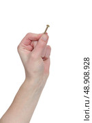 Hand holding screw. Стоковое фото, агентство Ingram Publishing / Фотобанк Лори