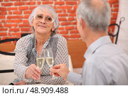 older couple toasting at restaurant. Стоковое фото, агентство Ingram Publishing / Фотобанк Лори