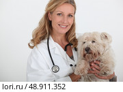 female veterinary and a dog. Стоковое фото, агентство Ingram Publishing / Фотобанк Лори