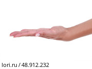 Open hand. Стоковое фото, агентство Ingram Publishing / Фотобанк Лори