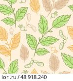 Vector autumn seamless pattern with elm branches. Стоковая иллюстрация, агентство Ingram Publishing / Фотобанк Лори