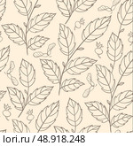 Vector autumn seamless pattern with elm branches. Стоковая иллюстрация, агентство Ingram Publishing / Фотобанк Лори