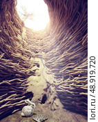  rabbit and chess in deep hole toward the sunlight. creative concept. Стоковое фото, агентство Ingram Publishing / Фотобанк Лори