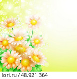 Spring flowers background. Стоковая иллюстрация, агентство Ingram Publishing / Фотобанк Лори