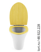 single modern toilet bowl with wooden cover isolated on white background. Стоковое фото, агентство Ingram Publishing / Фотобанк Лори