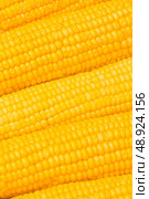 Extreme close up of yellow corn cobs. Стоковое фото, агентство Ingram Publishing / Фотобанк Лори