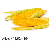 Corn cobs isolated on the white background. Стоковое фото, агентство Ingram Publishing / Фотобанк Лори
