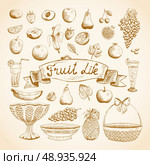 Sketches of juicy fresh fruits orange, grape, apple, strawberry, cherry and others vector illustration. Стоковая иллюстрация, агентство Ingram Publishing / Фотобанк Лори