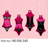 Set of underwear collection for women - Sexy vintage lingerie - sale labels. Стоковая иллюстрация, агентство Ingram Publishing / Фотобанк Лори