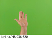Waving Hand Emoji. Man Gesturing Hello, Hi, Bye. Male Hand Showing Sign of Greeting or Goodbye. Isolate Chroma Key Green Screen Background. Body Language. Close Up. Isolated Emoticon Gesture. Saluting. Стоковое фото, фотограф Марина Демидюк / Фотобанк Лори