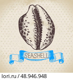 Seashell hand drawn sketch. Vintage illustration. Стоковая иллюстрация, агентство Ingram Publishing / Фотобанк Лори
