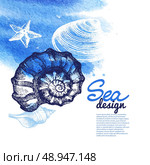 Seashell background. Sea nautical design. Hand drawn sketch and watercolor illustration. Стоковая иллюстрация, агентство Ingram Publishing / Фотобанк Лори