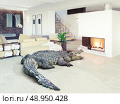 Big crocodile relax in the luxury interior (photo and cg elements combination) Стоковое фото, агентство Ingram Publishing / Фотобанк Лори