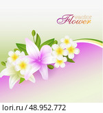 Beautiful flowers background, vector illustration with lilies - flowers, buds and leaves. Стоковая иллюстрация, агентство Ingram Publishing / Фотобанк Лори