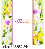 Beautiful flowers background, vector illustration with lilies - flowers, buds and leaves. Стоковая иллюстрация, агентство Ingram Publishing / Фотобанк Лори