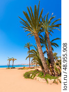 Aguilas beach Murcia Poniente bay at Mediterranean sea of Spain. Стоковое фото, агентство Ingram Publishing / Фотобанк Лори