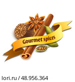 Gourmet spices delicious flavors ribbon badge with cinnamon nutmeg anise star cardamom vector illustration. Стоковая иллюстрация, агентство Ingram Publishing / Фотобанк Лори