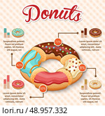 Sweet ring doughnut dessert infographic set with charts vector illustration. Стоковая иллюстрация, агентство Ingram Publishing / Фотобанк Лори