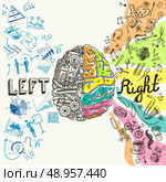 Brain left analytical and right creative hemispheres sketch concept vector illustration. Стоковая иллюстрация, агентство Ingram Publishing / Фотобанк Лори