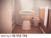 A freshly cleaned toilet in a hotel room. Стоковое фото, агентство Ingram Publishing / Фотобанк Лори