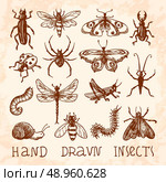 Insects sketch decorative icons set with dragonfly fly butterfly isolated vector illustration. Стоковая иллюстрация, агентство Ingram Publishing / Фотобанк Лори