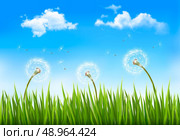Nature background with dandelions. Vector. Стоковая иллюстрация, агентство Ingram Publishing / Фотобанк Лори