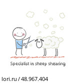 Specialist sheep shearing. Fun cartoon style illustration. The situation of life. Стоковая иллюстрация, агентство Ingram Publishing / Фотобанк Лори