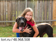 great dane and kid girl hug playing together at backyard outdoor. Стоковое фото, агентство Ingram Publishing / Фотобанк Лори