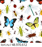Insects colored seamless pattern with grasshopper wasp butterfly vector illustration. Стоковая иллюстрация, агентство Ingram Publishing / Фотобанк Лори