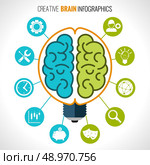 Creative brain infographics set with hemispheres in lightbulb and intelligence and creativity symbols vector illustration. Стоковая иллюстрация, агентство Ingram Publishing / Фотобанк Лори