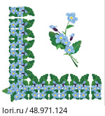 Forget me not floral corner and line frame elements isolated on white background. Spring or summer season flower. Стоковая иллюстрация, агентство Ingram Publishing / Фотобанк Лори
