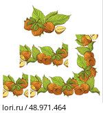 Rectangular frame ornament with highly detailed hand drawn hazelnuts isolated on white background. Pattern endless fragments. . Стоковая иллюстрация, агентство Ingram Publishing / Фотобанк Лори