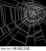 Vector white spider web isolated on the  black background. white spider web isolated on the  black background. Стоковая иллюстрация, агентство Ingram Publishing / Фотобанк Лори
