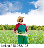 Farmer man harvesting onions in Mediterranean orchard field. Стоковое фото, агентство Ingram Publishing / Фотобанк Лори