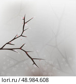 Sakura branch. Стоковая иллюстрация, агентство Ingram Publishing / Фотобанк Лори