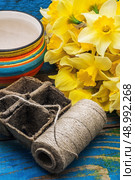 blooming daffodils,peat pots,secateurs on wooden background.Selective focus. Стоковое фото, агентство Ingram Publishing / Фотобанк Лори