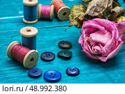 thread buttons for crafts on turquoise wooden background. working tool dressmaker. Стоковое фото, агентство Ingram Publishing / Фотобанк Лори