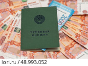 Трудовая книжка и деньги. Стоковое фото, фотограф Игорь Низов / Фотобанк Лори