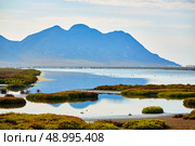 Las Salinas in Cabo de Gata Almeria flamingos lake in Spain. Стоковое фото, агентство Ingram Publishing / Фотобанк Лори
