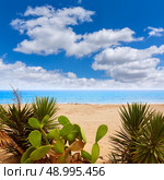 Almeria Mojacar beach in Mediterranean sea of Spain. Стоковое фото, агентство Ingram Publishing / Фотобанк Лори