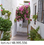 Mojacar Almeria white Mediterranean village in Spain. Стоковое фото, агентство Ingram Publishing / Фотобанк Лори