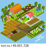 Farm complex isometric blocks composition. Farm complex constructive toy blocks composition with farmhouse backyard surrounded by fiels and pasture isometric vector illustration. Стоковая иллюстрация, агентство Ingram Publishing / Фотобанк Лори