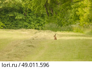 High resolution photo in best quality. Стоковое фото, агентство Ingram Publishing / Фотобанк Лори