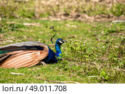 High resolution photo in best quality. Стоковое фото, агентство Ingram Publishing / Фотобанк Лори