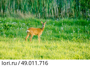 High resolution photo in best quality. Стоковое фото, агентство Ingram Publishing / Фотобанк Лори