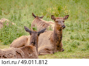 High resolution photo in best quality. Стоковое фото, агентство Ingram Publishing / Фотобанк Лори