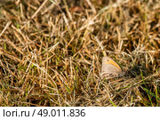 High resolution photo in best quality. Стоковое фото, агентство Ingram Publishing / Фотобанк Лори